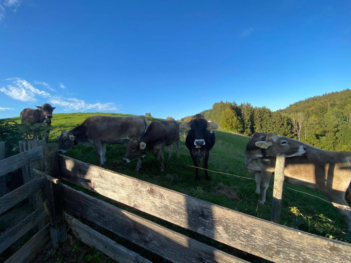Ferienwohnung Bergblick Wangen Im Allgaeu Mit Garten, 2022 Komplett Renoviert Kültér fotó