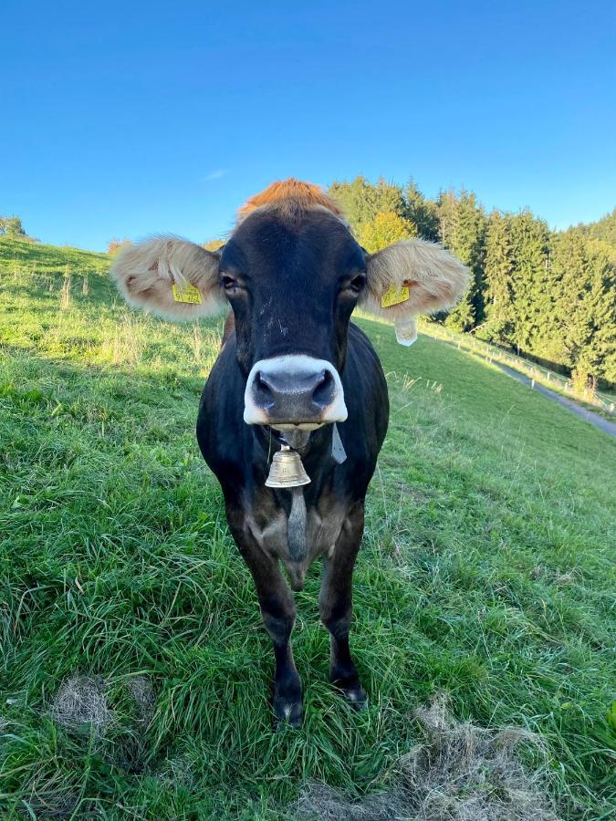 Ferienwohnung Bergblick Wangen Im Allgaeu Mit Garten, 2022 Komplett Renoviert Kültér fotó